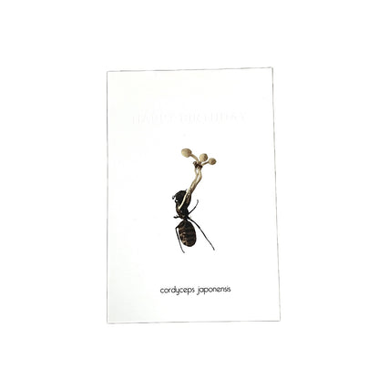CORDYCEPS BIRTHDAYCARD