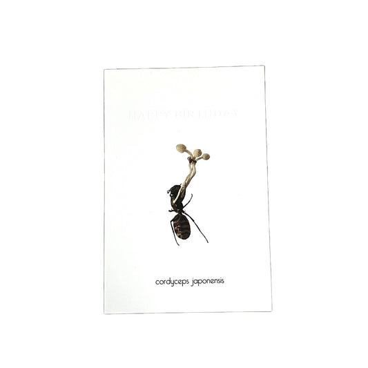 CORDYCEPS BIRTHDAYCARD