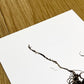 CORDYCEPS BIRTHDAYCARD