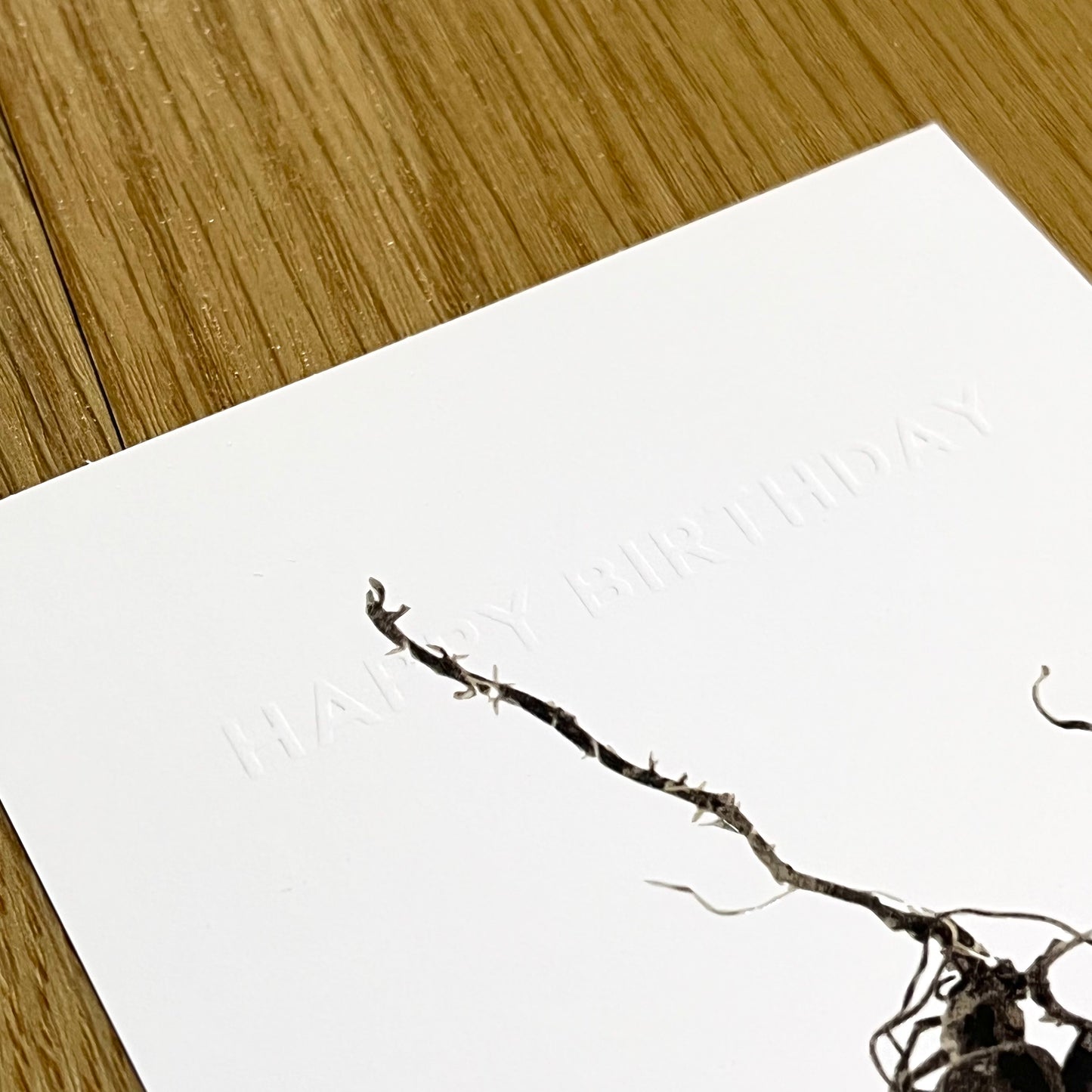 CORDYCEPS BIRTHDAYCARD