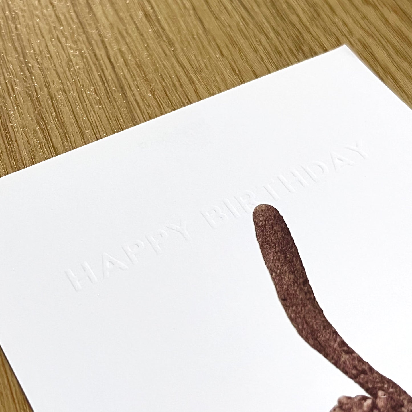 CORDYCEPS BIRTHDAYCARD
