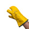 #216021 yellow
